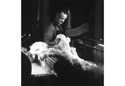 Photograph, scouring wool Photograph, scouring wool