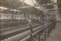 Photograph, Longfords Mill, Avening Photograph, Longfords Mill, Avening